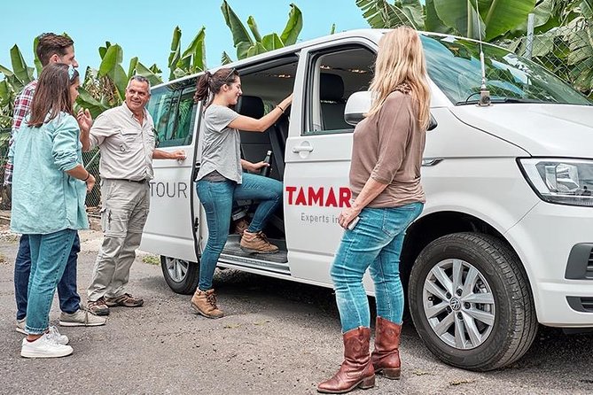 VIP Grand Tour Isla de Tenerife from South Tenerife - Key Highlights To Notice Before You Go