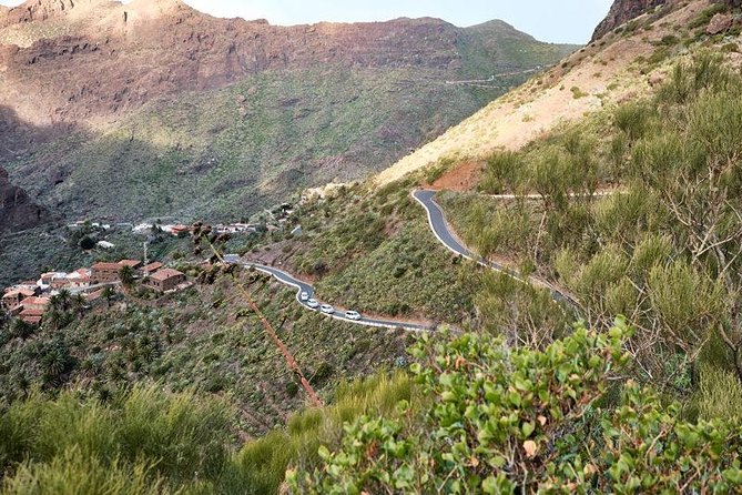 VIP Grand Tour Isla de Tenerife from South Tenerife - Transportation, Timing, and Group Size: How the Day Actually Feels