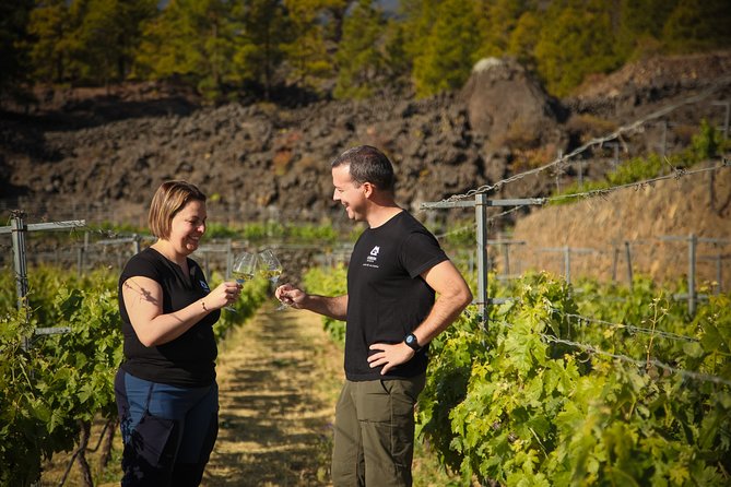 Visit to Arafo Mountain Vineyard and Organic Wine Tasting - Key highlights you will notice right away