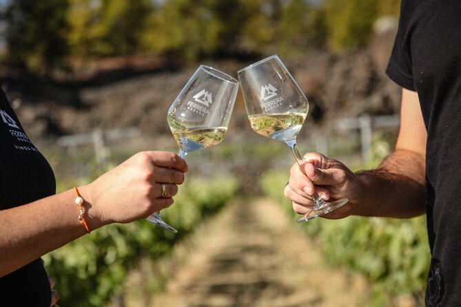 Visit to Arafo Mountain Vineyard and Organic Wine Tasting - Arafo and Bodegas Ferrera, why this wine tasting feels worth your time