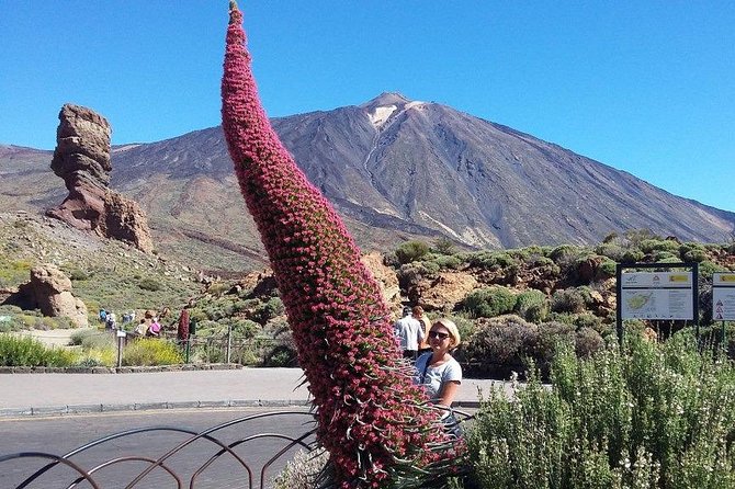 Volcano Teide - Masca ravine. Guided Tour from Puerto de la Cruz - Tenerife - Teide National Park at altitude: what you can do in your time