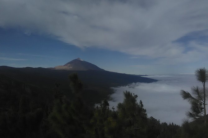 Volcano Teide National Park And North Of The Island VIP TOUR - Key things to know before you go