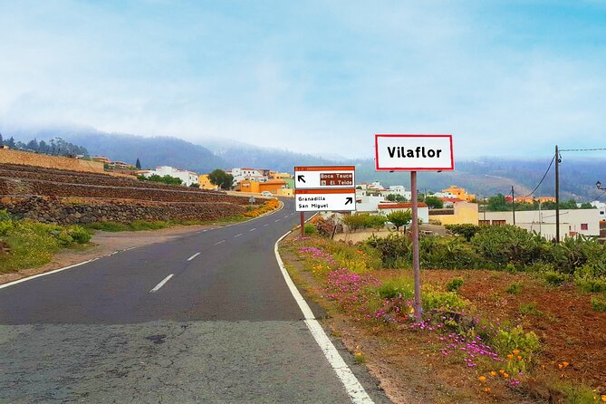 Volcano Teide National Park Guided Tour from Puerto de la Cruz - Tenerife North - Teide Cable Car add-on: how to plan for weather and health limits