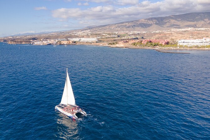 Watching and Listening Whales visiting Los Gigantes&Masca. Food&drinks included - Crew and Commentary, and Why It Changes the Vibe