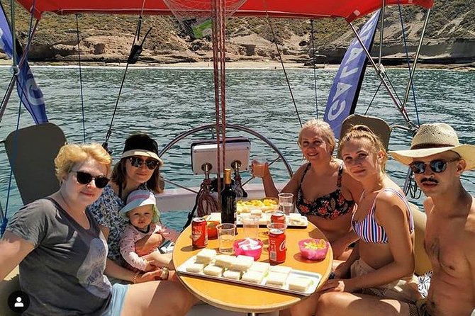 Whale and Dolphin Small Group Sailing from Tenerife South - Key points to know before you go