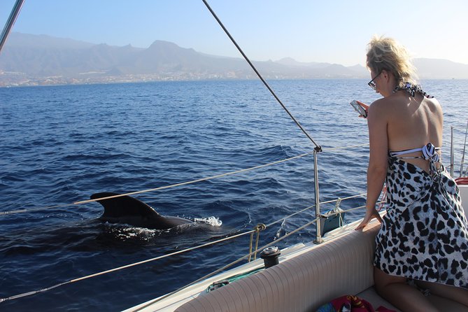 Whale and Dolphin Small Group Sailing from Tenerife South - Where the sailing starts: Puerto Colón for Tenerife South wildlife time