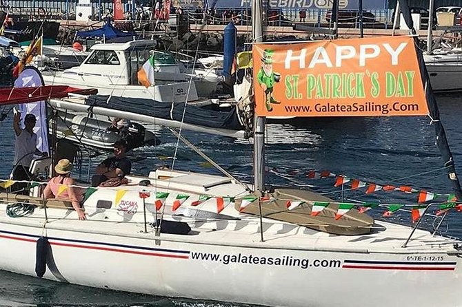 Whale and Dolphin Small Group Sailing from Tenerife South - Why this is good value at about $60.49 per person