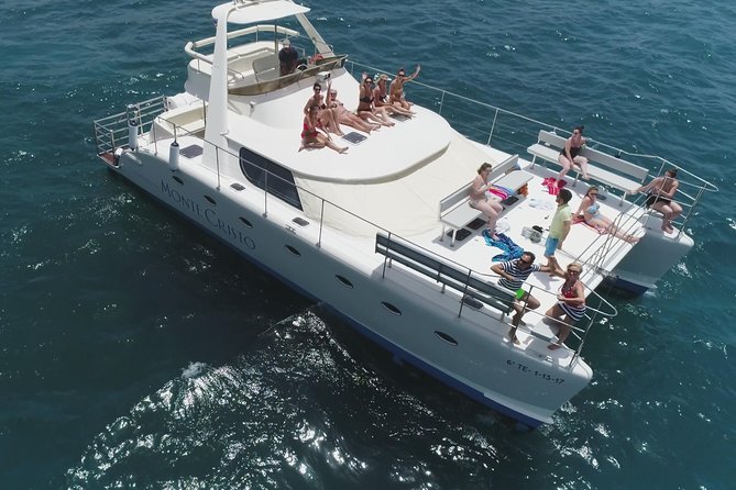 Whale and Dolphin Watching Catamaran with Transfer and Buffet - Key points before you go
