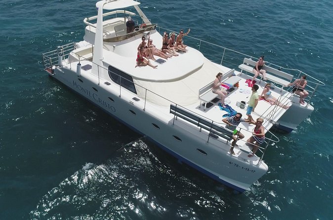 Whale and Dolphin Watching Catamaran with Transfer and Buffet - Swimming and Snorkeling Off the Catamaran (Gear Included)