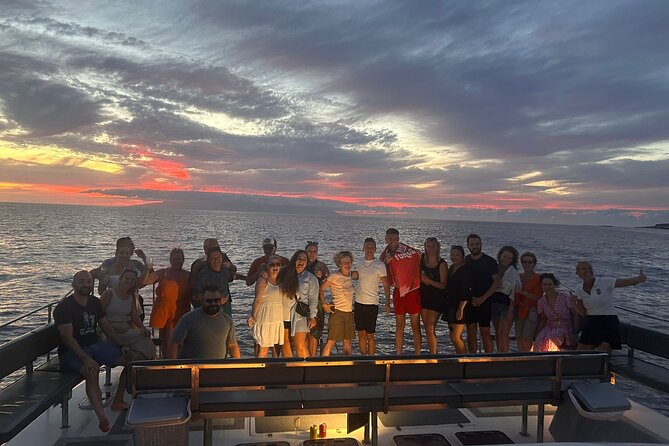 Whale and Dolphin Watching Catamaran with Transfer and Buffet - Whale, Dolphin, and Sea Turtle Chances, Plus Photo Time