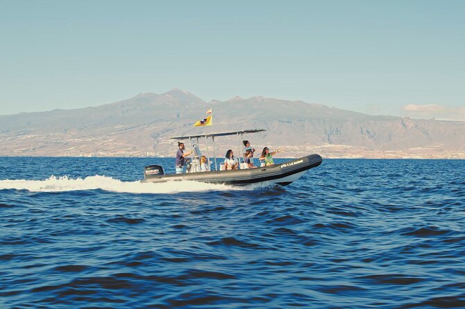 Whale and Dolphin Watching EcoAdventure in Tenerife - Responsible Watching That Does More Than Say the Right Words