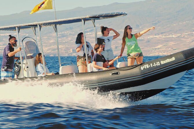 Whale and Dolphin Watching EcoAdventure in Tenerife - How the 2-Hour Experience Fits Your Tenerife Day