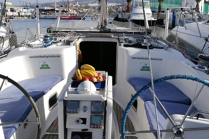Whale and Dolphin Watching Sailing Boat with Drinks, Snacks and Swimming Time - Comfort on Board: Small Group, Big View Opportunities