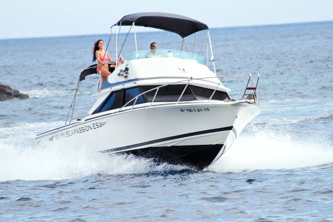 Whale and dolphin watching tour Los Gigantes and Masca in small groups - Key highlights you will feel right away