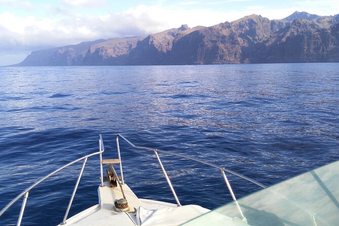Whale and dolphin watching tour Los Gigantes and Masca in small groups - Who should book this whale and dolphin tour