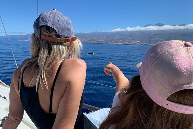Whale and Dolphin Watching Yacht Trip in Puerto Colon - Snorkeling and swimming: the fun part, the weather part
