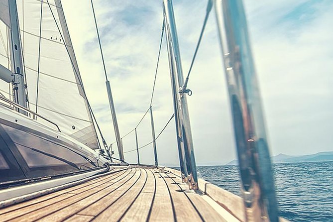 Whale and Dolphin Watching Yacht Trip in Puerto Colon - Price and value: what $62.56 gets you in real terms