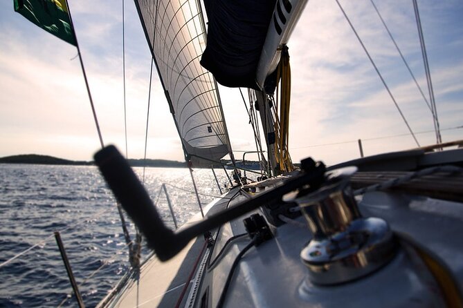 Whale & Dolphin Watching Boat Trip in Tenerife On a Sailing Boat (3 Hr) - What “success” looks like, and how to set your expectations