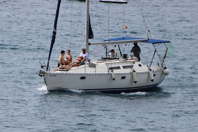 Whale & Dolphin Watching Boat Trip in Tenerife On a Sailing Boat (3 Hr) - Who this Tenerife sailing whale trip is best for