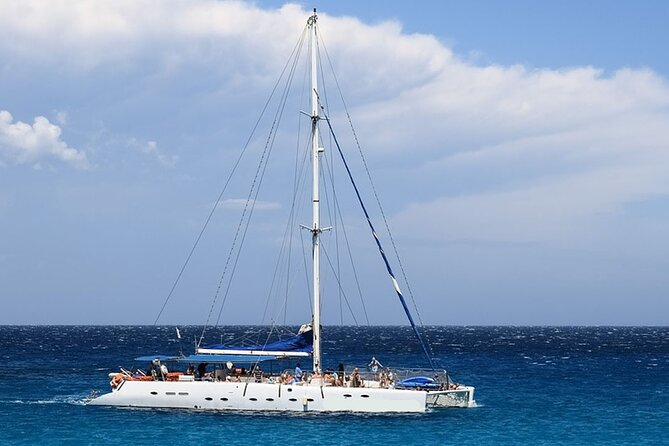 Whale & Dolphin Watching in Tenerife (Puerto Colon) On a Large Catamaran - Key Things to Know Before You Go