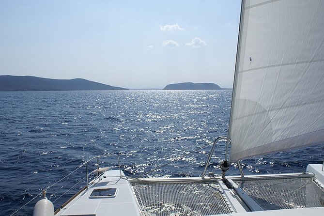 Whale & Dolphin Watching in Tenerife (Puerto Colon) On a Large Catamaran - Price Check: Is $54.29 a Smart Deal?