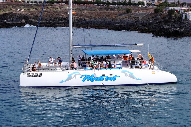 Whale & Dolphin Watching With Mustcat Virgin Coast Trip On a Large Catamaran - Crew and experience quality: friendly guidance helps you spot more