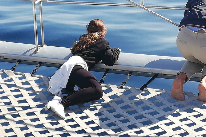 Whale & Dolphin Watching With Mustcat Virgin Coast Trip On a Large Catamaran - Price and value: why $58.17 feels fair for this package