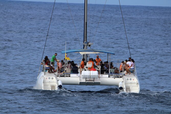 Whale & Dolphin Watching With Mustcat Virgin Coast Trip On a Large Catamaran - The Palm Mar anchoring stop, and why it feels worth it
