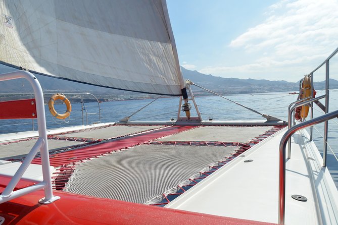 Whale watching and listening Eco-Catamaran Tour with Food Tasting - Key Things You’ll Notice on This Whale Watching Catamaran