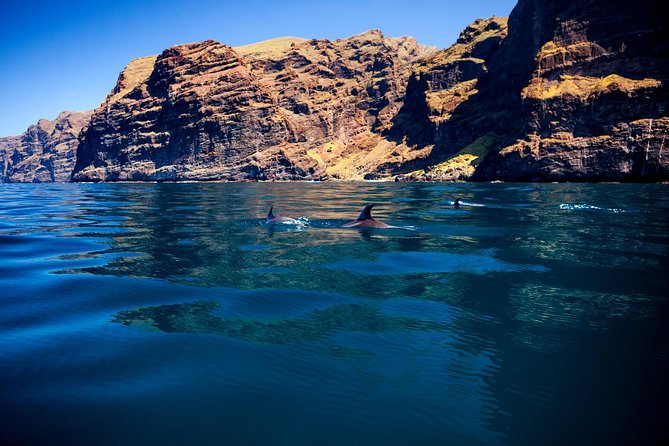 Whale watching and listening Eco-Catamaran Tour with Food Tasting - Stop 1 in Puerto Colón Bay: Wildlife, Silence, and Time on the Water