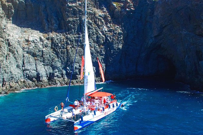 Whale watching and listening Eco-Catamaran Tour with Food Tasting - Listening to Whales Underwater: Why the Commentary Matters