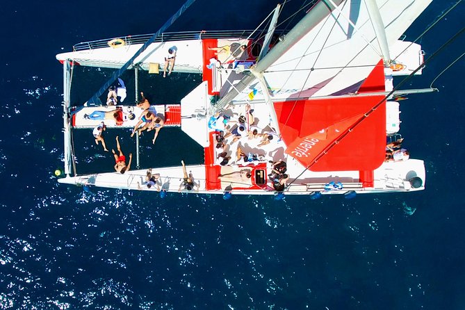 Whale watching and listening Eco-Catamaran Tour with Food Tasting - Included Food Tasting and Drinks: How It Works Onboard