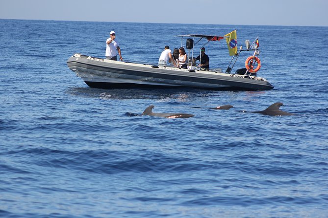 Whale Watching and Marine Science Tour - Hydrophone Listening: The Part Most People Remember