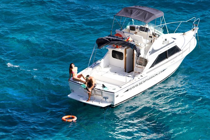 Whale watching and snorkelling in the whale sanctuary - Who should book this, and who might rethink it
