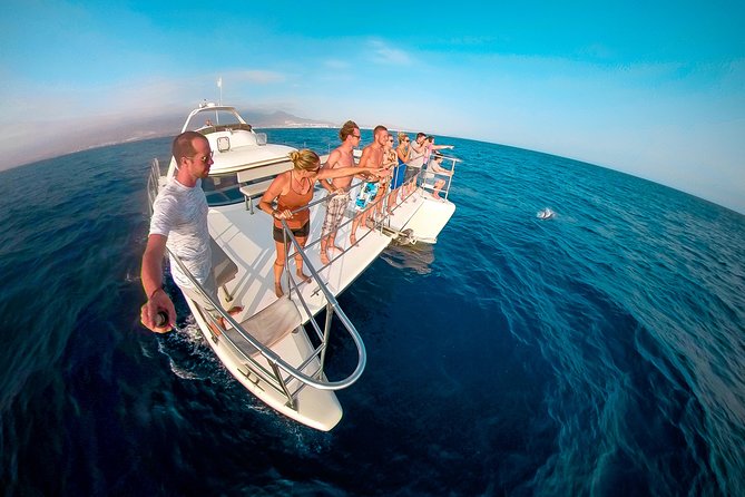 Whale Watching Catamaran Cruise with Transfer, Buffet by MC - Key points before you board