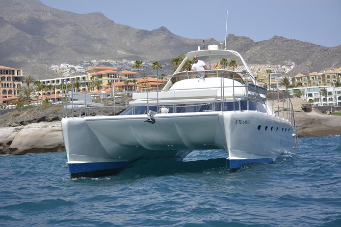 Whale Watching Catamaran Cruise with Transfer, Buffet by MC - The buffet and bar setup: why this matters more than you think