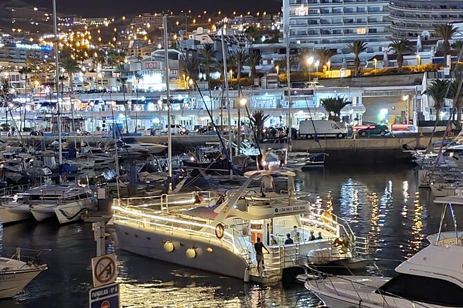 Whale Watching Catamaran Cruise with Transfer, Buffet by MC - Seasickness, rough water, and how to handle it like a pro