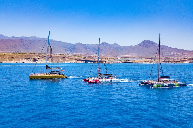 Whale Watching Catamaran in Costa Adeje (Including drinks & Sandwich) - What you might see: pilot whales, dolphins, and turtles