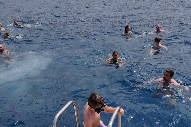 Whale Watching Catamaran in Costa Adeje (Including drinks & Sandwich) - Food and drinks: why the open bar adds real value