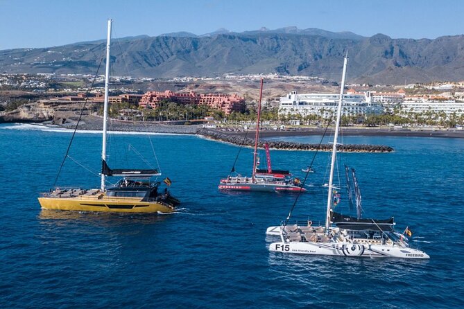 Whale Watching Catamaran in Costa Adeje (Including drinks & Sandwich) - The crowd reality: big boat pros and cons