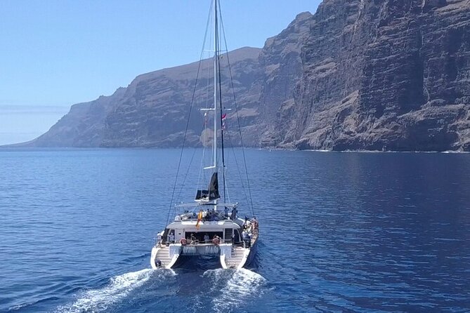 Whale Watching Catamaran to Los Gigantes & Masca (Including drinks & warm lunch) - Key things I’d watch for before you go