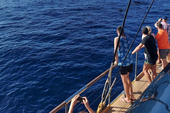 Whale Watching Catamaran to Los Gigantes & Masca (Including drinks & warm lunch) - Comfort, sunbathing decks, and the sunbed decision