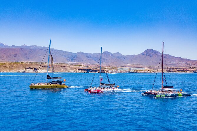 Whale Watching Catamaran to Los Gigantes & Masca (Including drinks & warm lunch) - Price value: why $72.08 can feel fair, and when it might not