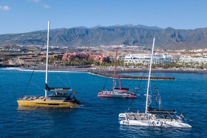 Whale Watching Catamaran to Los Gigantes & Masca (Including drinks & warm lunch) - Who this tour fits best