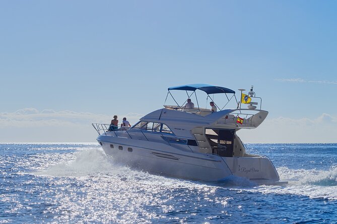 Whales and Dolphins excursion on a Luxury Yacht in Canary Islands - Key Things That Make This Yacht Tour Worth Your Time