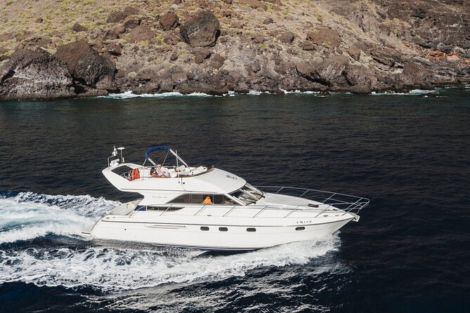 Whales and Dolphins excursion on a Luxury Yacht in Canary Islands - Luxury Yacht Start in Las Galletas, Plus Real Comfort
