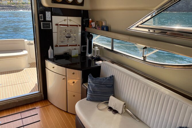 Whales and Dolphins excursion on a Luxury Yacht in Canary Islands - Whale and Dolphin Spotting With Crew Narration