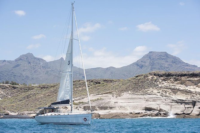 Whales & Dolphins watching in exclusive sailboat - Sailing versus engine power: what to expect on a windy day