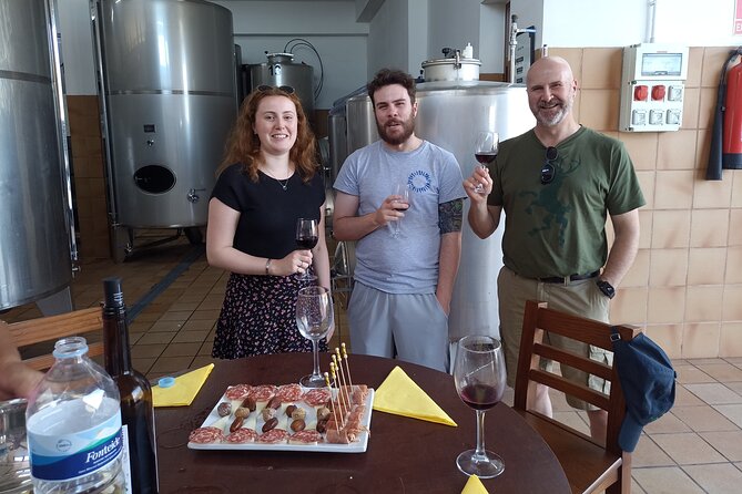 Wine, Canarian Tapas, Culture, VIP Private tour - photos included - The VIP flow: pick-up, timing, and how the day stays relaxed
