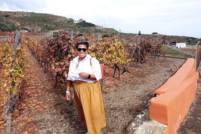 Wine, Canarian Tapas, Culture, VIP Private tour - photos included - Stop 3: Vilaflor village, historic church and Canarian houses